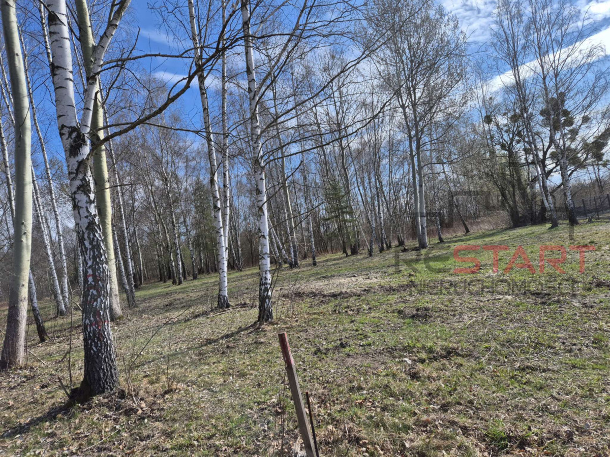 Działka Opypy - Widok 3