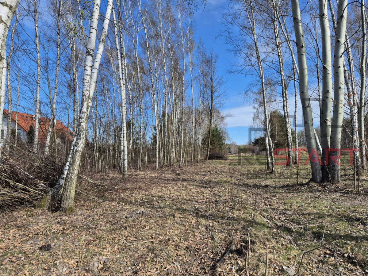 Działka Opypy - Widok 2