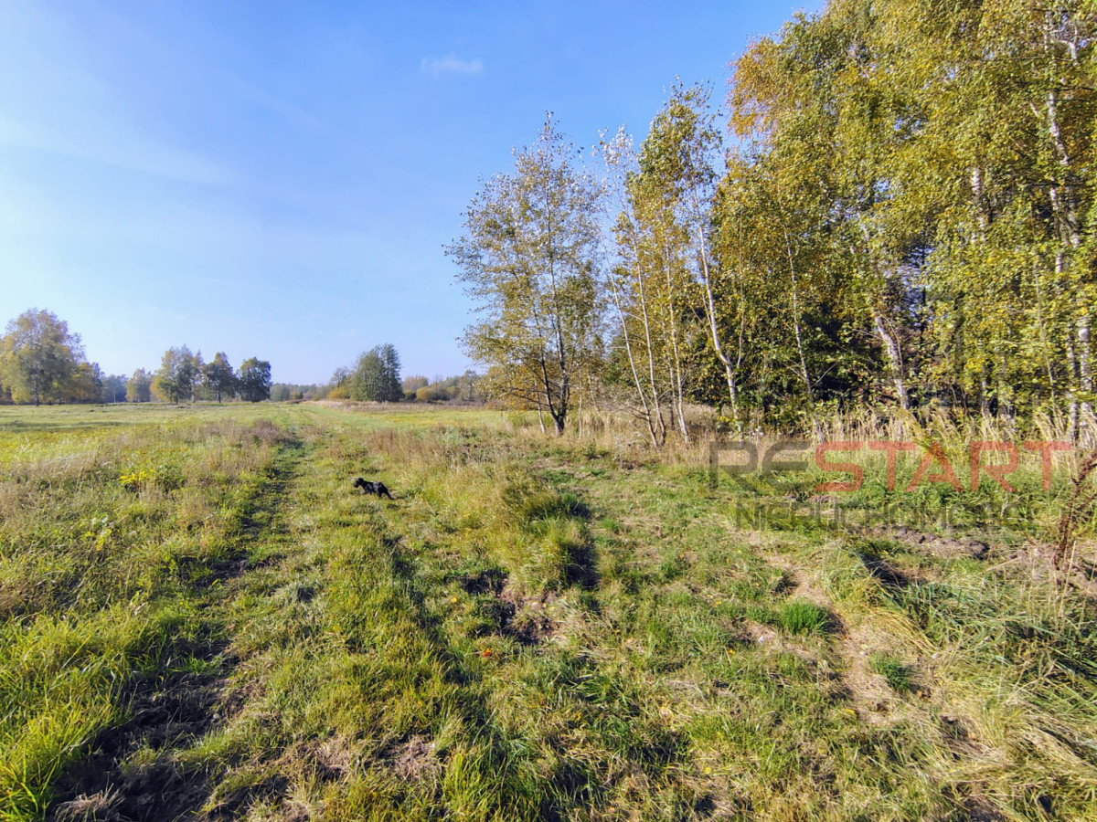 Kozerki 7 800 m² – możliwość podziału na 3 działki