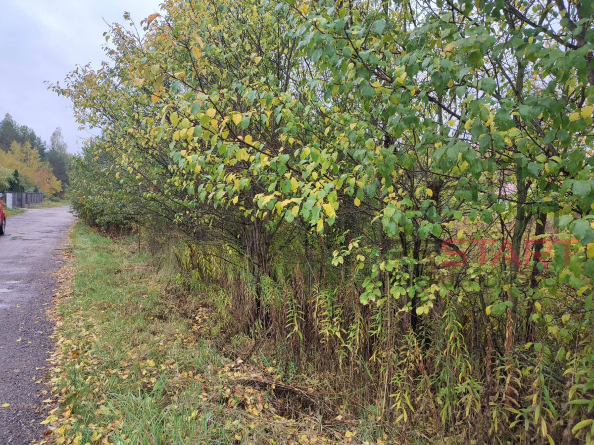 działka pod bliźniaki w Łosiu 3000 m² - Widok 5
