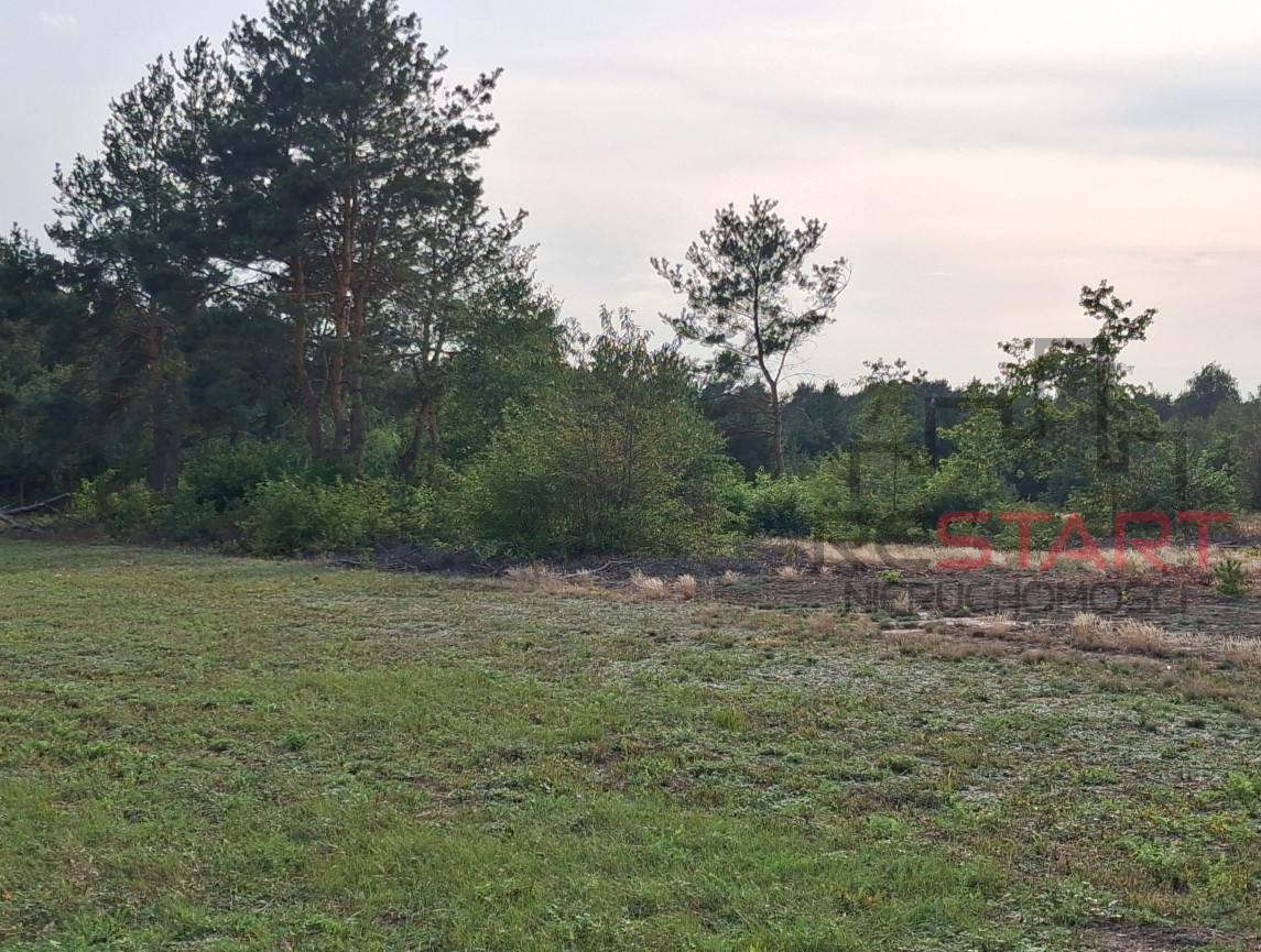 piękna działka - dom lub bliźniak w Górze Kalwarii - Widok 5