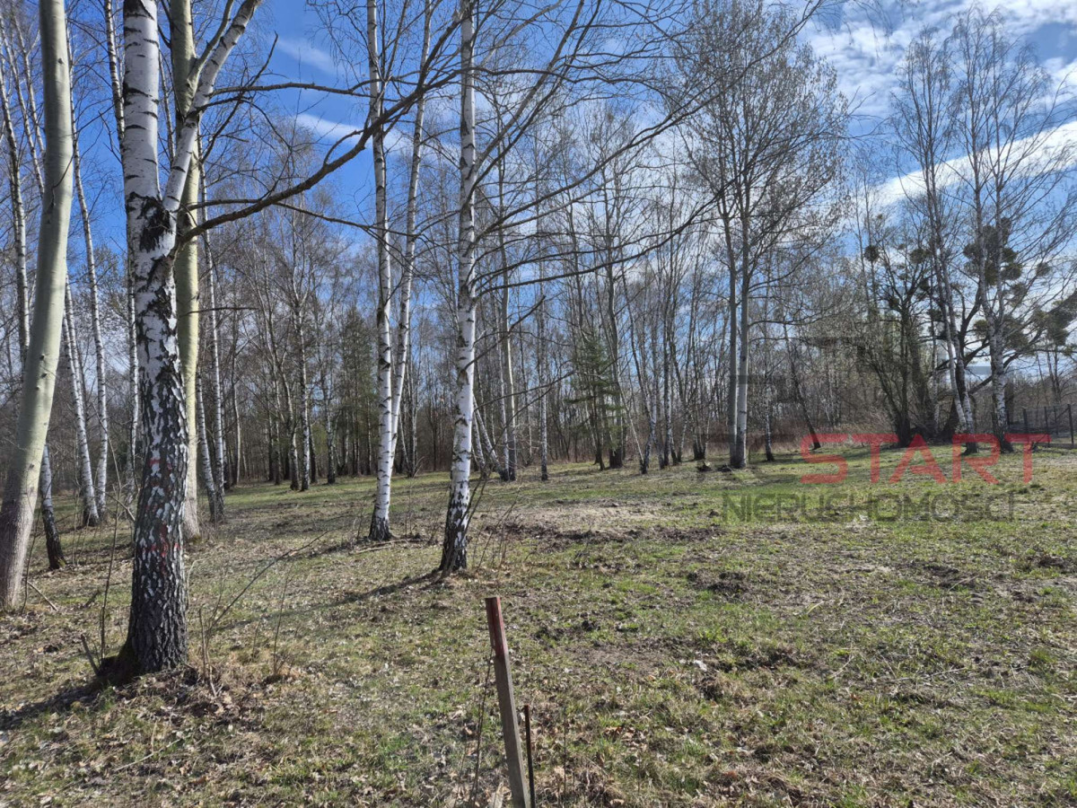 Działka Opypy - Widok 4