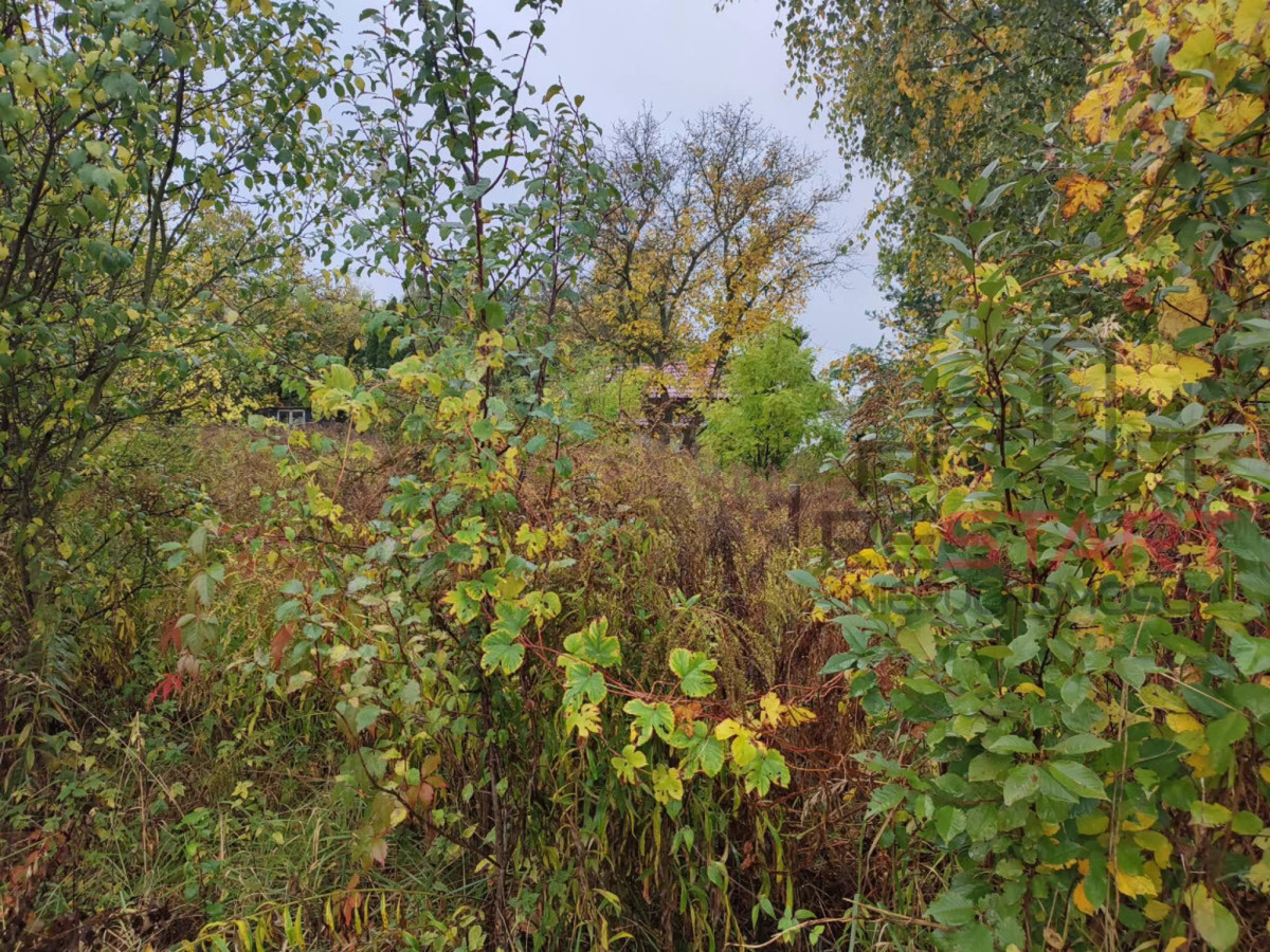 działka pod bliźniaki w Łosiu 3000 m² - Widok 2