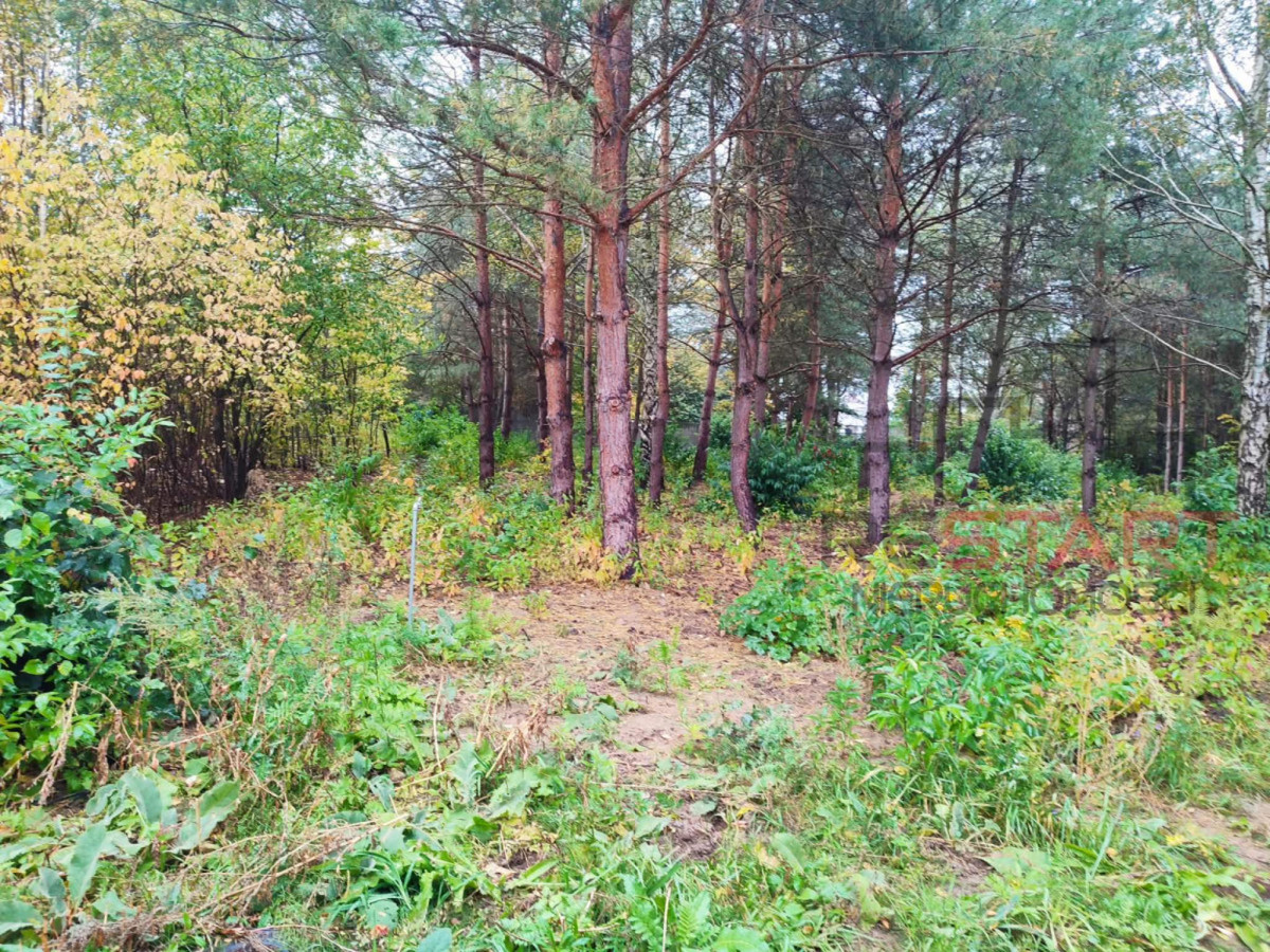 działka pod bliźniaki w Łosiu 3000 m² - Więcej