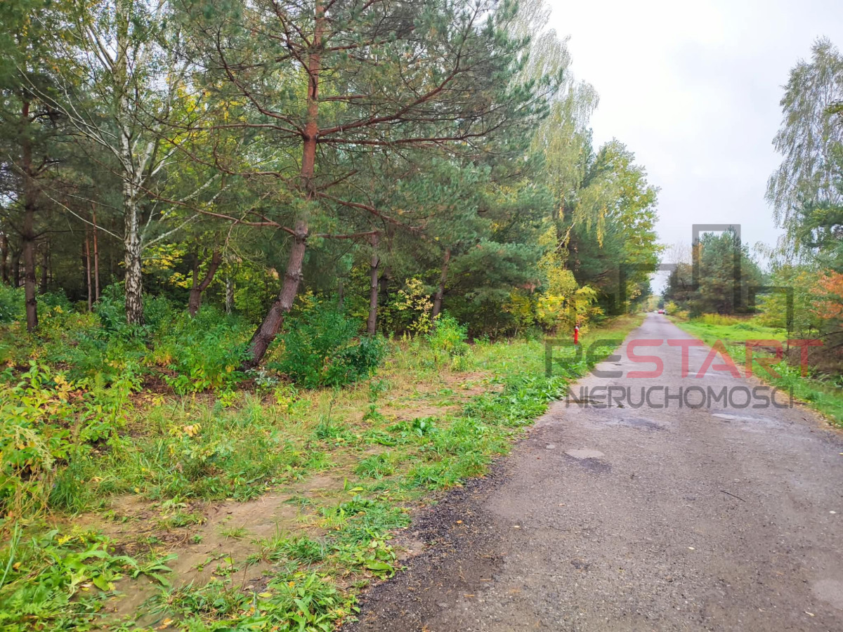 działka pod bliźniaki w Łosiu 3000 m² - Widok 4