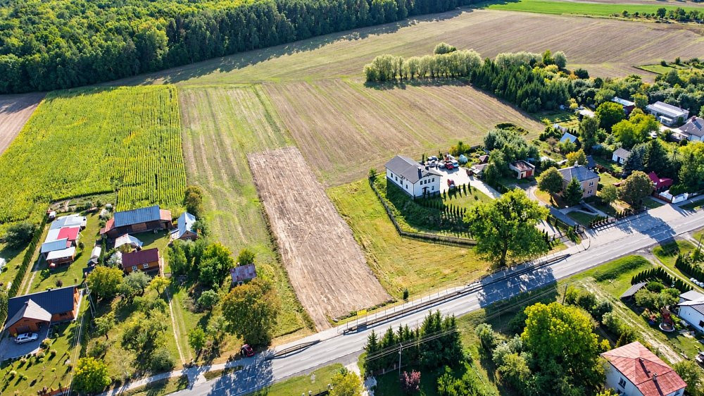 Działka I 8 503 m² I zabudowa zagrodowa I Kamień - Widok 2
