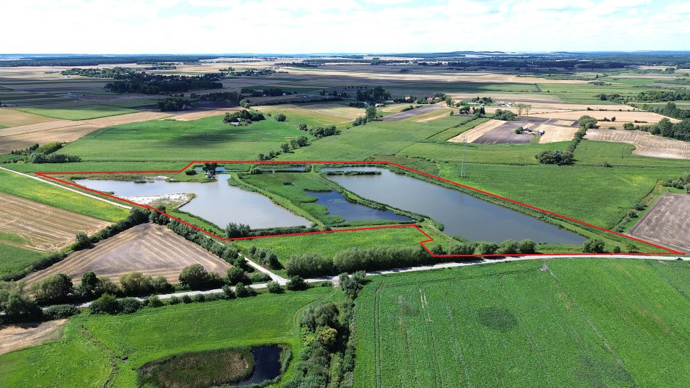 Czynne stawy hodowlane 6,7 ha/5 stawów/Uher/Chełm