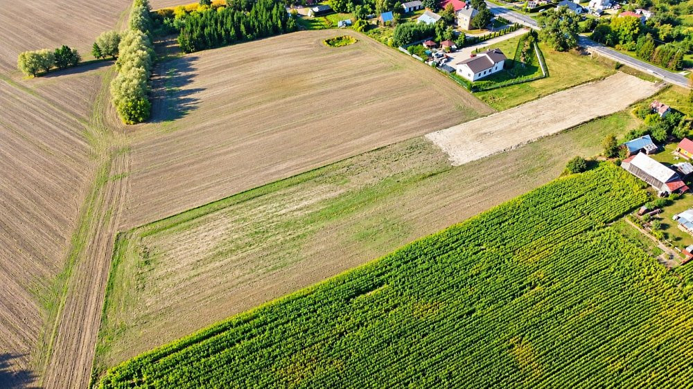 Działka I 8 503 m² I zabudowa zagrodowa I Kamień - Więcej