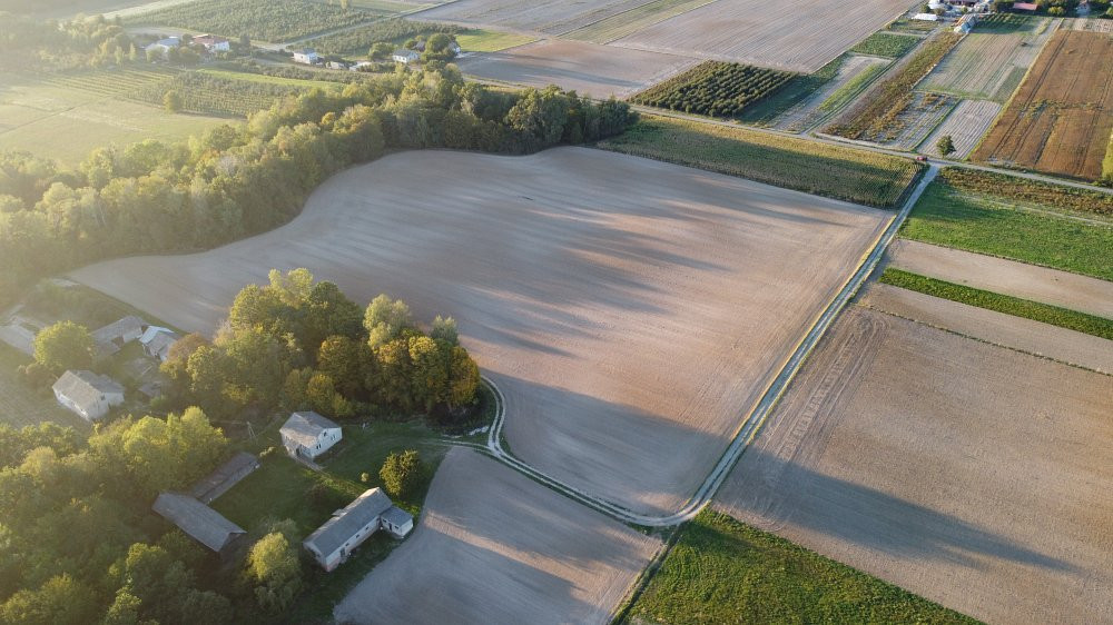 Działki po 15 arów / Zastawie-Kolonia, Krasnystaw - Widok 5
