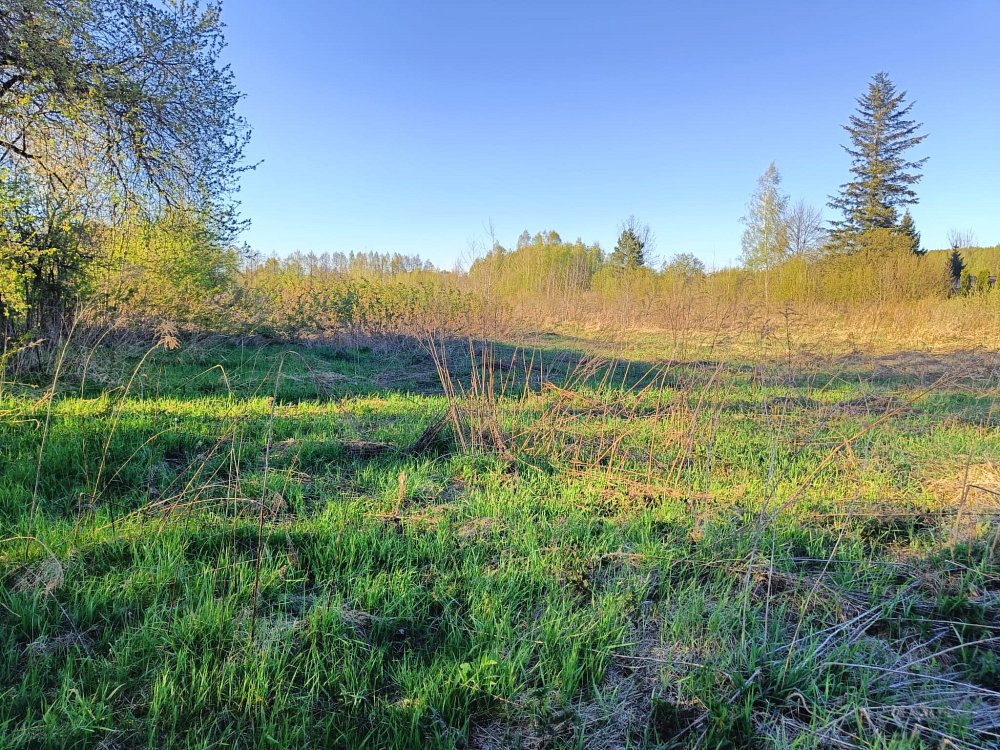 Działka budowlana 10 ar| Wygon |Tomaszów Lub - Widok 4