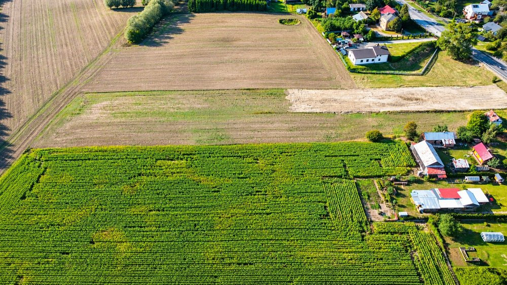 Działka I 8 503 m² I zabudowa zagrodowa I Kamień - Widok 5