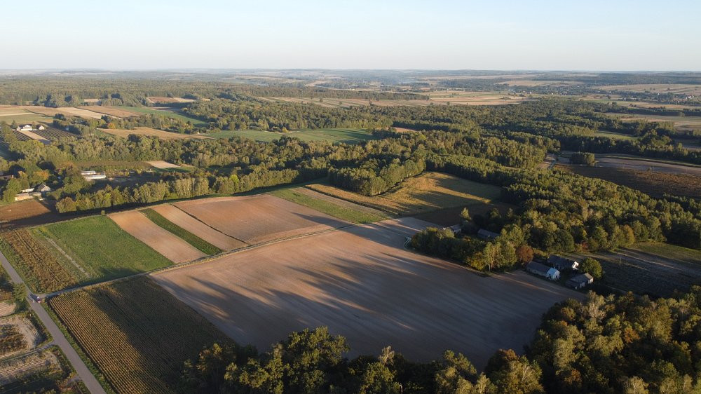 Działki po 15 arów / Zastawie-Kolonia, Krasnystaw - Widok 4
