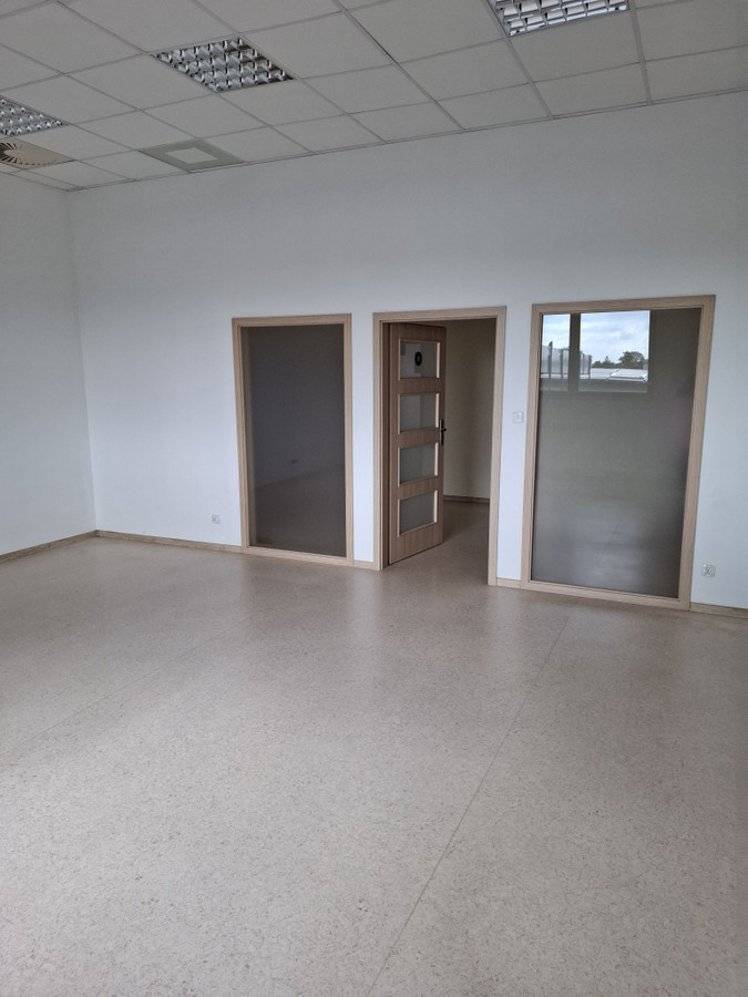 Lokal uzytkowy-biurowy - Widok 3