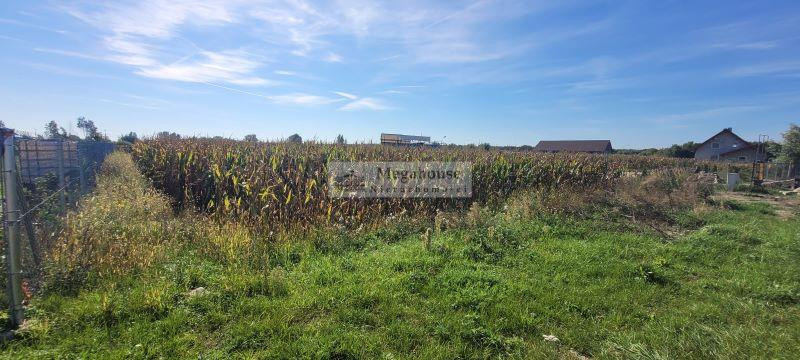 Dla spragnionych komfortu życia - Widok 2