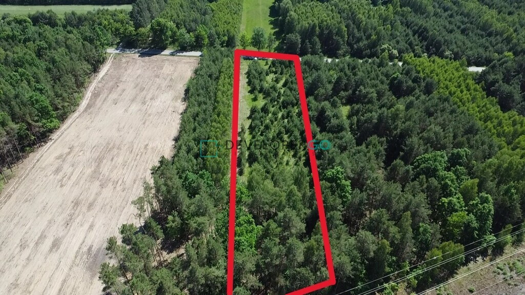 Działka siedliskowa z lasem i WZ - Widok 5