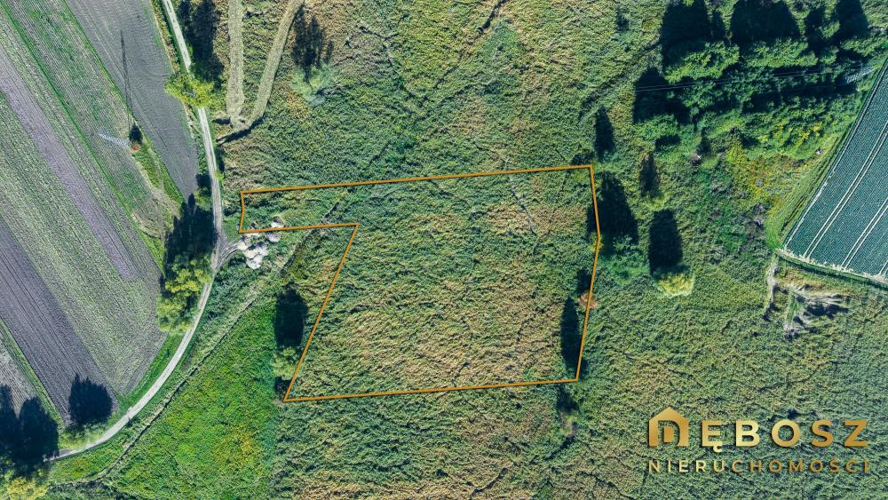 gratka-572879 - Widok 2