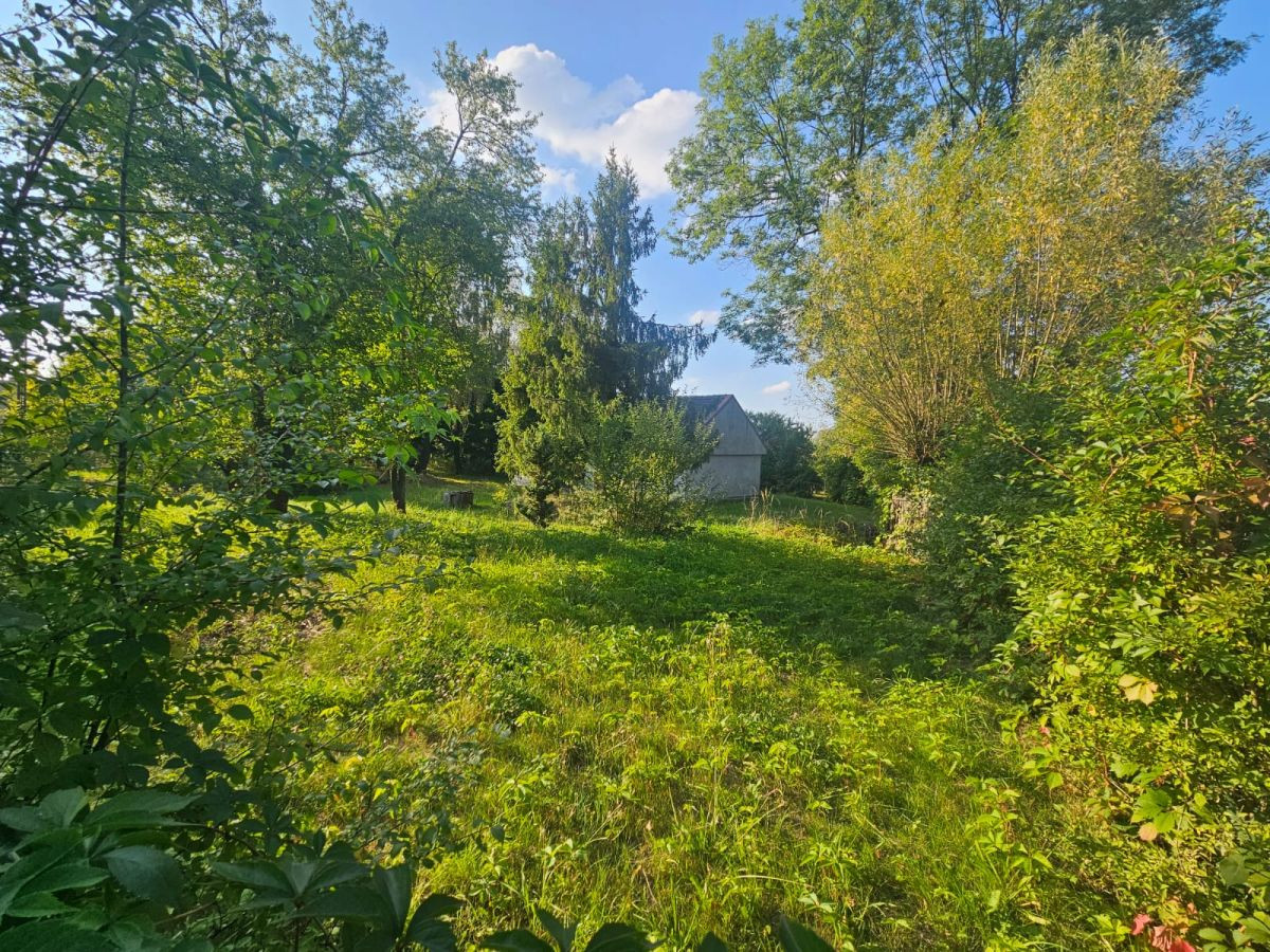 Działka w otoczeniu starodrzewu - Swoszowice - Widok 5