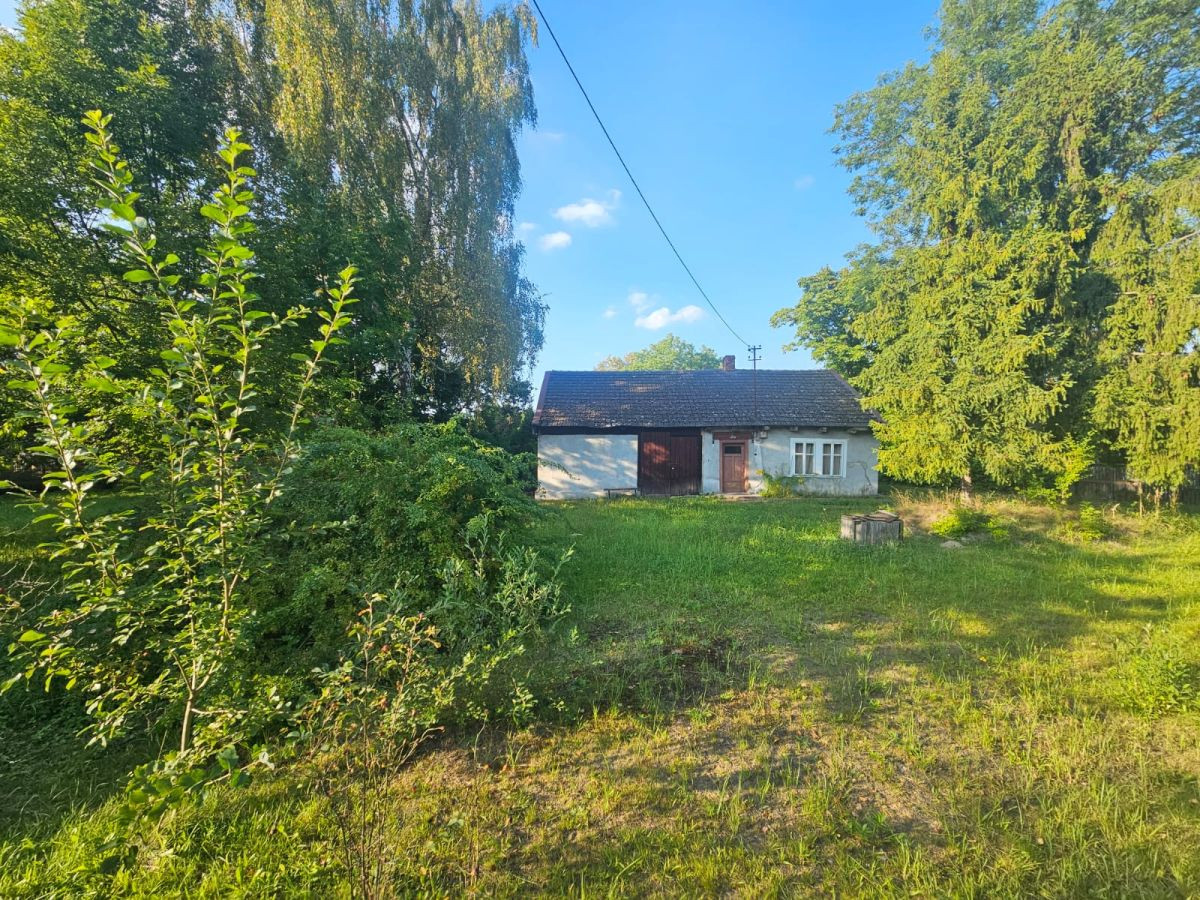 Działka w otoczeniu starodrzewu - Swoszowice - Widok 2