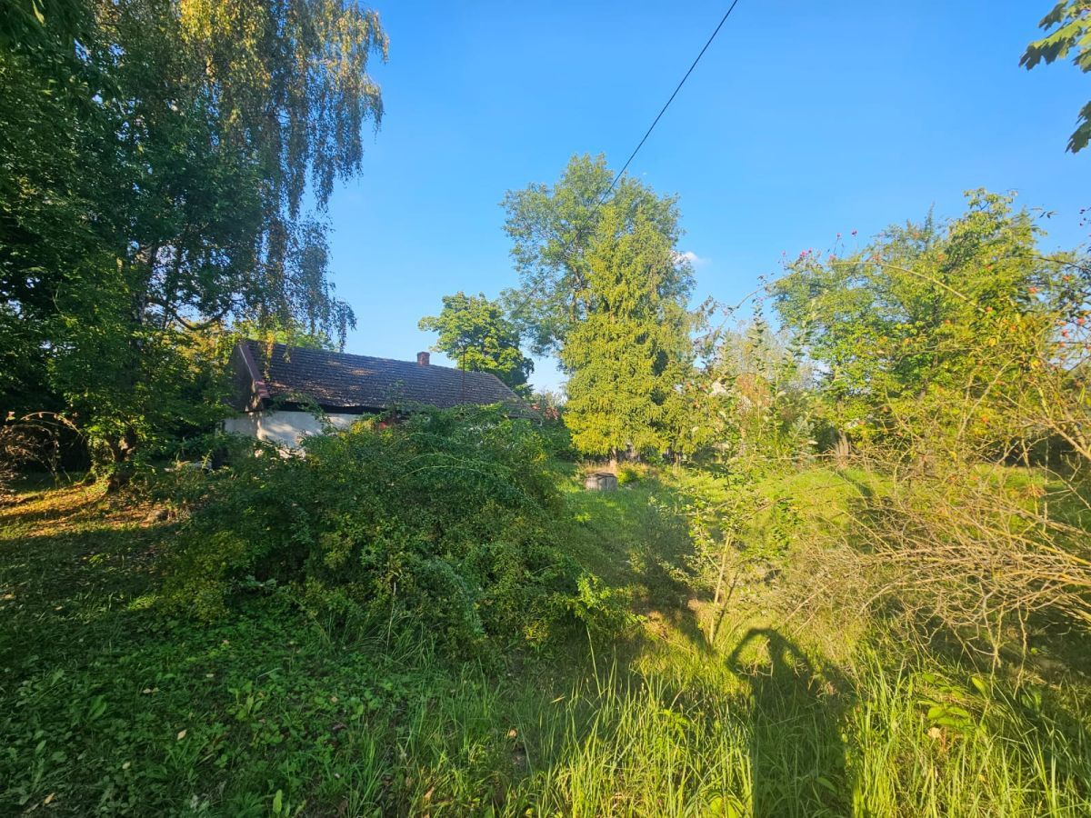 Działka w otoczeniu starodrzewu - Swoszowice - Widok 4