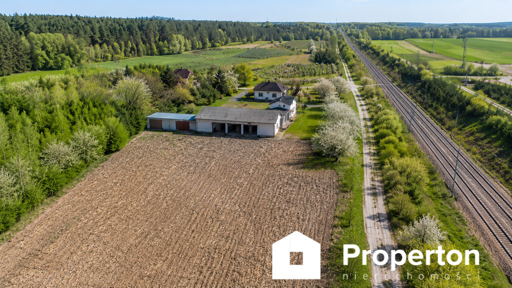 Gospodarstwo sadownicze 6,86 ha Franciszków - Widok 2