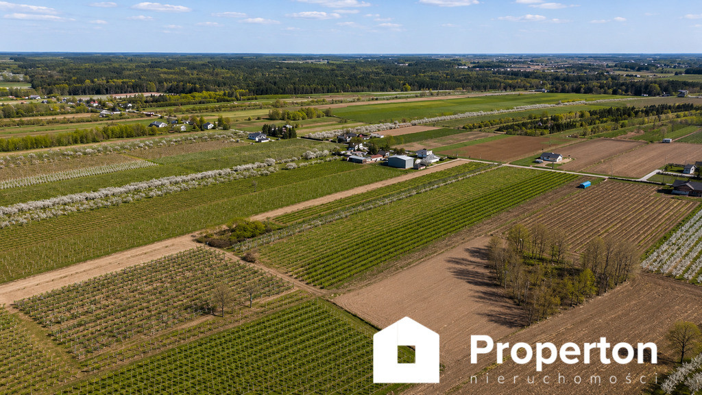 Gospodarstwo sadownicze 6,86 ha Franciszków - Widok 4