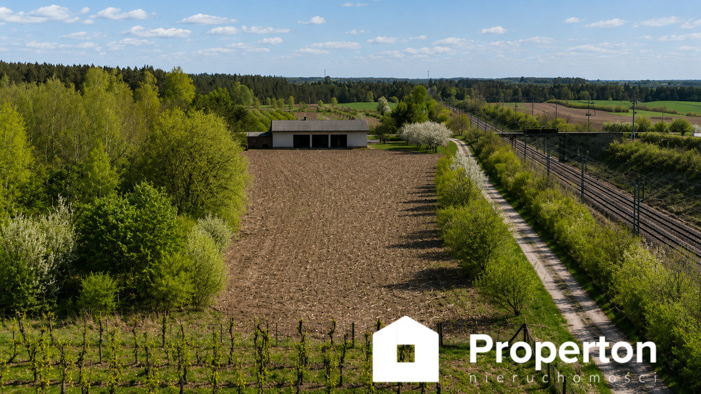 Gospodarstwo sadownicze 6,86 ha Franciszków - Widok 3