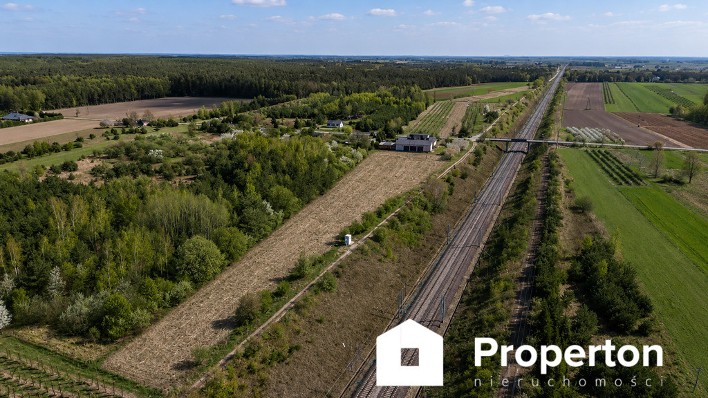 Gospodarstwo sadownicze 6,86 ha Franciszków - Widok 5