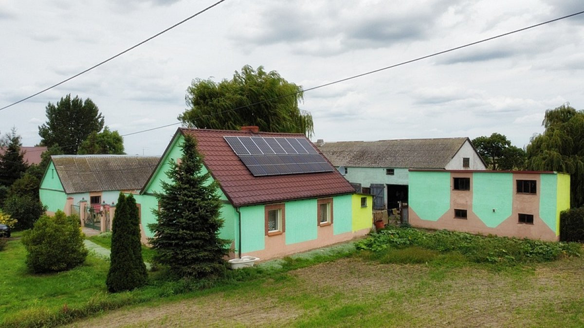Siedlisko na sprzedaż pod Rojewem – 7500 m² Dom + - Widok 3