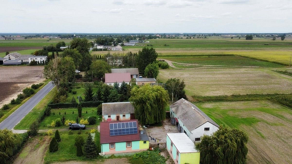 Siedlisko na sprzedaż pod Rojewem – 7500 m² Dom + - Widok 5