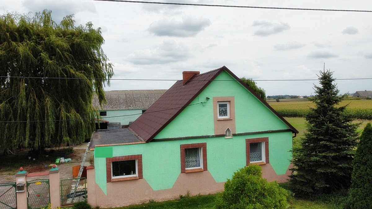 Siedlisko na sprzedaż pod Rojewem – 7500 m² Dom + - Widok 2