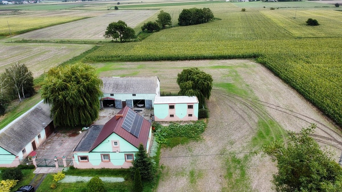 Siedlisko na sprzedaż pod Rojewem – 7500 m² Dom + - Widok 4