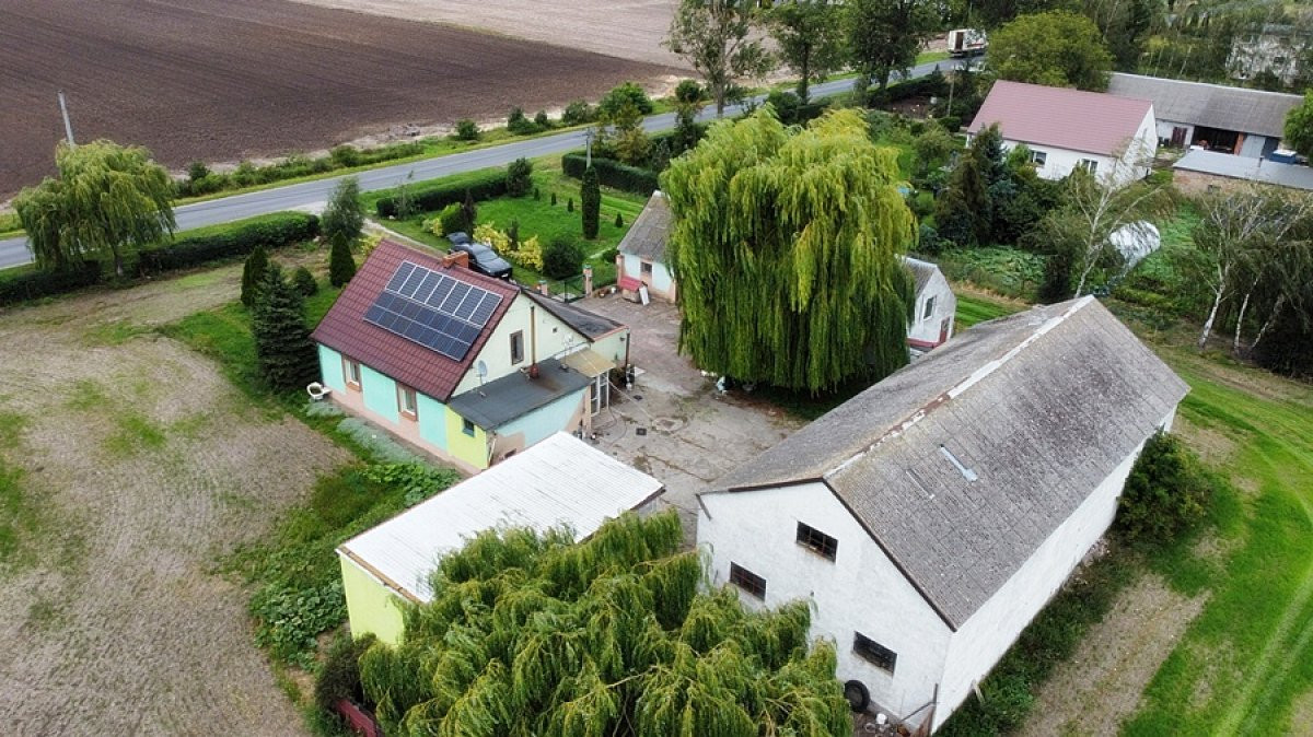 Siedlisko na sprzedaż pod Rojewem – 7500 m² Dom + - Więcej