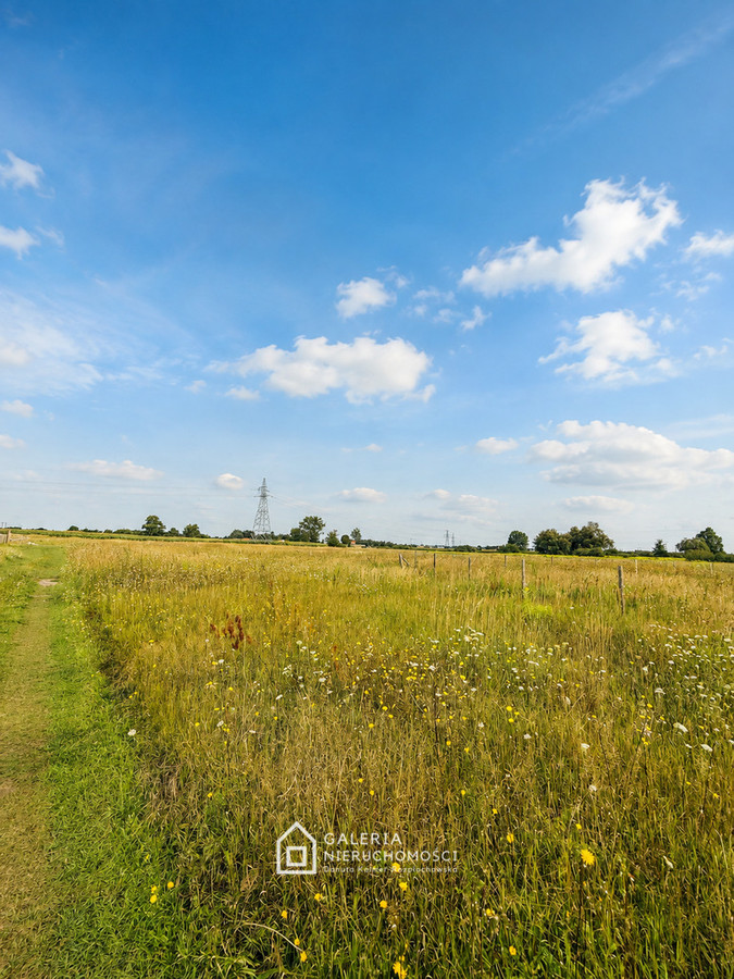 Działka 806 m² | Szczytniki Duchowne | MPZP - Widok 4