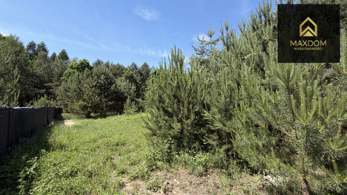 Cisza natura | woda prąd światłowód MPZP | Kampino - Widok 3