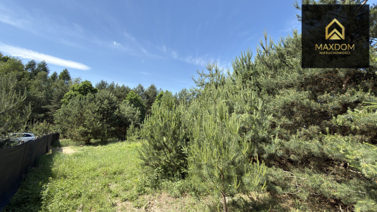 Cisza natura | woda prąd światłowód MPZP | Kampino - Więcej