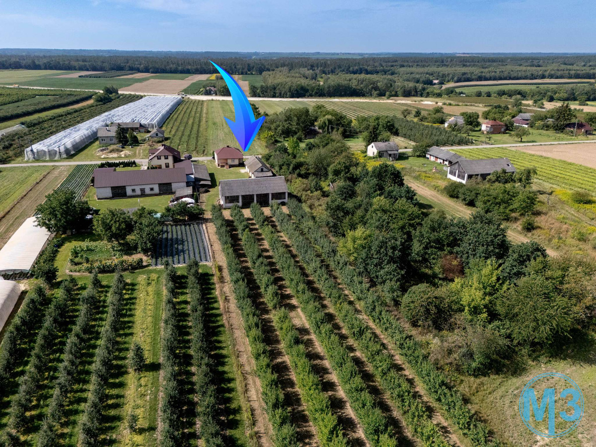 Dom – Zawichost, Prosperów, Linów - Widok 2
