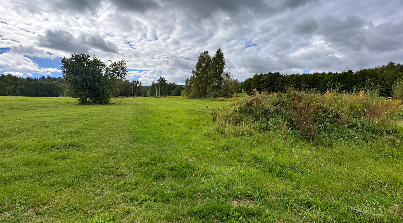 Karolew 5450 m², 26m szer., MPZP - Widok 2