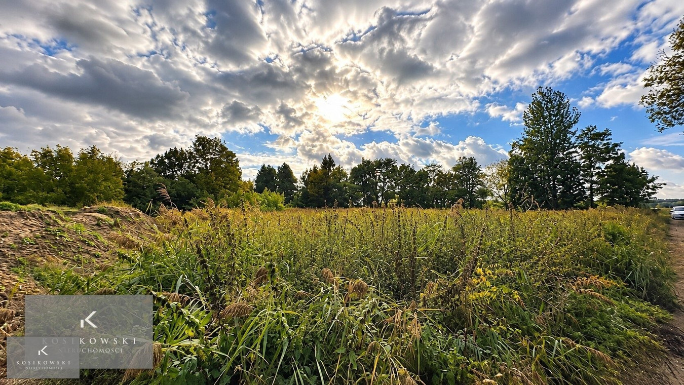 DZIAŁKA BUDOWLANA o pow. 3 200 m² Ligotka - Widok 4