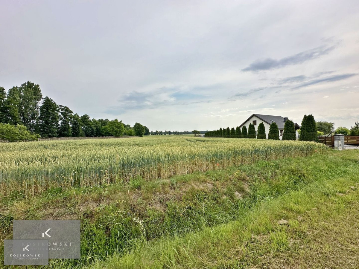 Działka rolna 30 arów z potencjałem mieszkaniowym - Widok 5