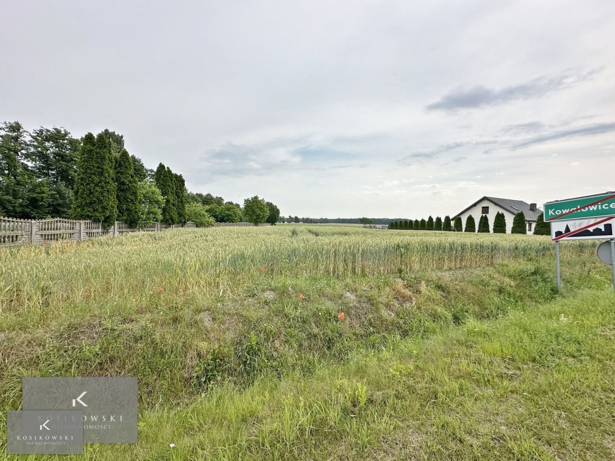 Działka rolna 30 arów z potencjałem mieszkaniowym - Widok 2
