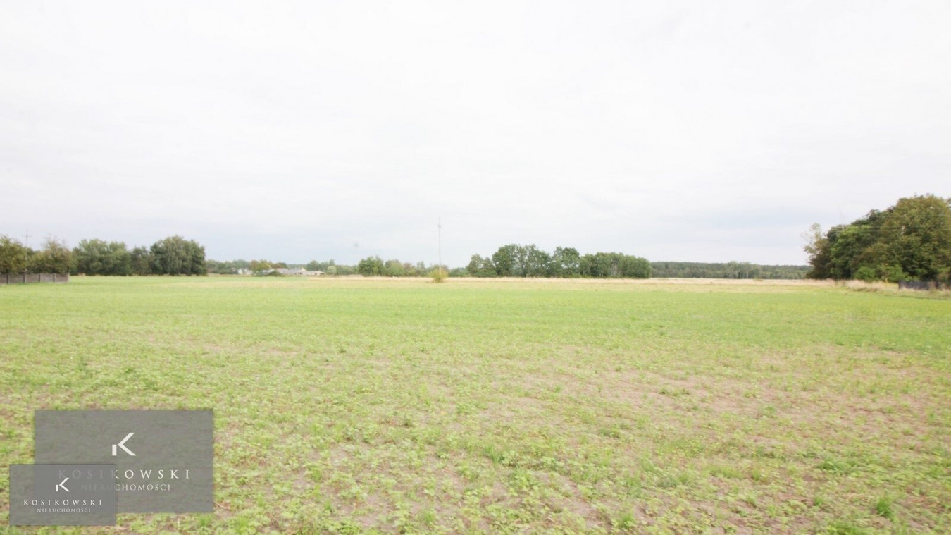 Działka budowlana mieszk.-usług.o pow.8250 m² Pokój - Widok 3