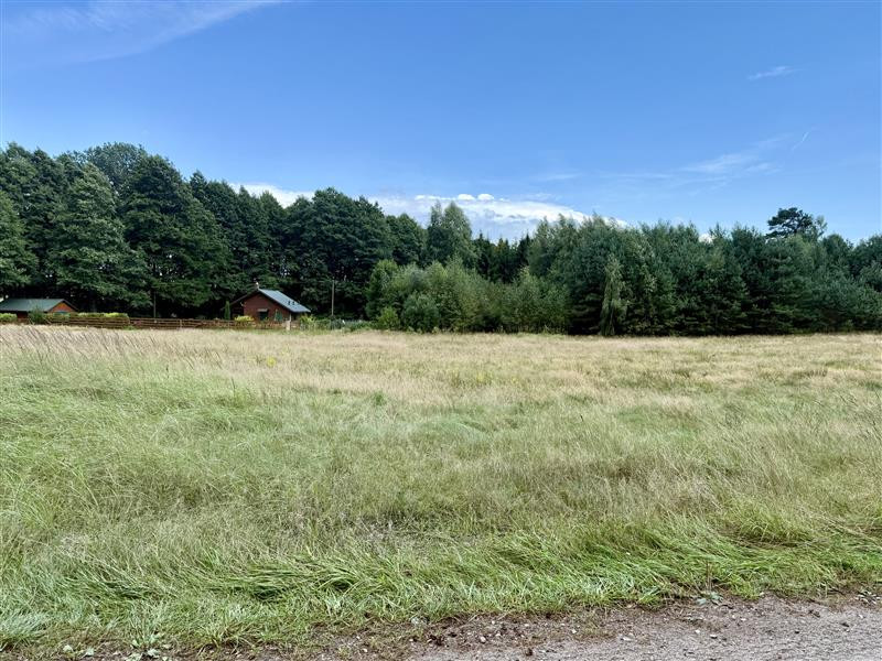 Działka - Stepień Kolonia - Widok 4
