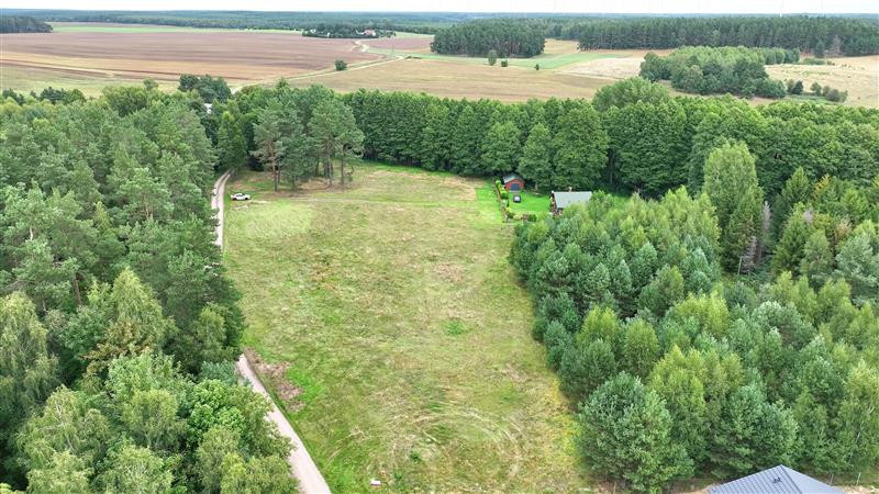Działka - Stepień Kolonia - Widok 5