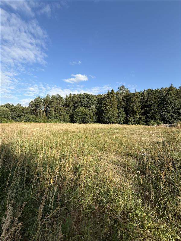 Dom – Stare Bielice - Więcej