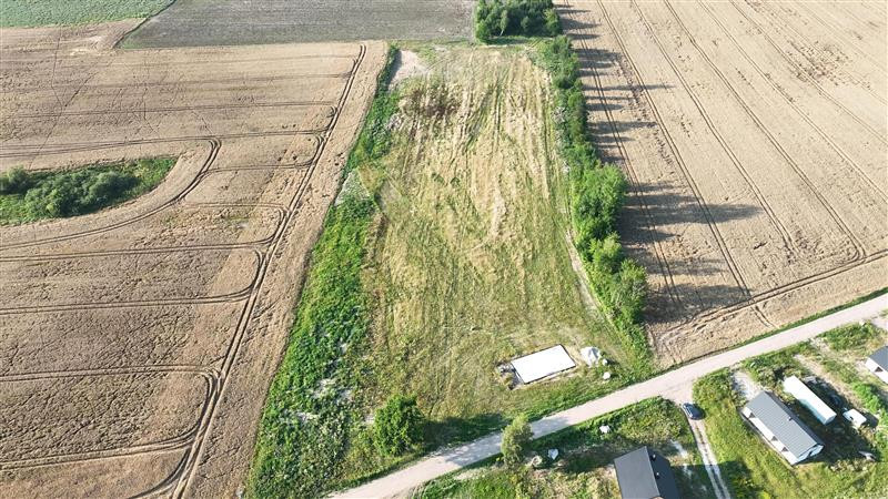 Działka - Stare Bielice Platanowe - Widok 2