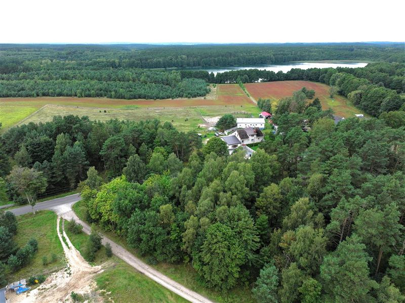 Działka - Stepień Kolonia - Widok 2