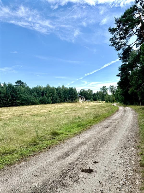Działka - Stepień Kolonia - Widok 2
