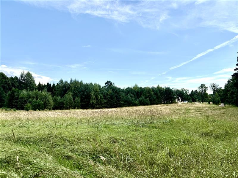 Działka - Stepień Kolonia - Widok 3