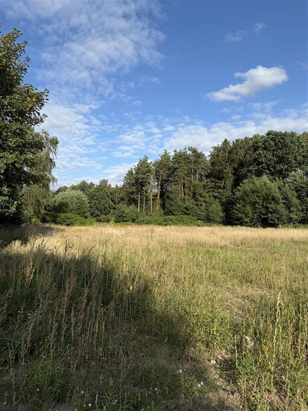 Dom – Stare Bielice - Widok 5