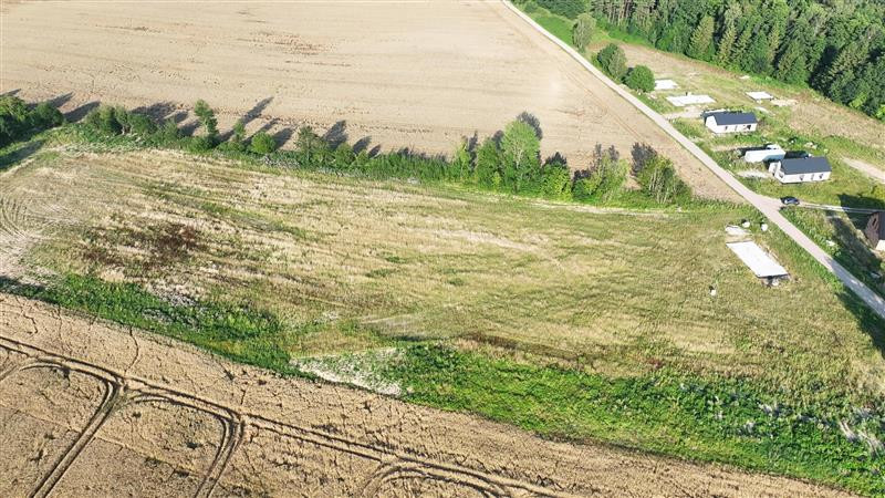 Działka - Stare Bielice Platanowe - Widok 4